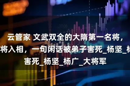 云管家 文武双全的大隋第一名将，两朝元勋出将入相，一句闲话被弟子害死_杨坚_杨广_大将军