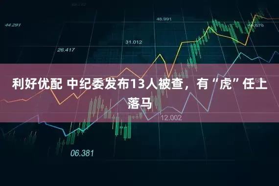 利好优配 中纪委发布13人被查，有“虎”任上落马